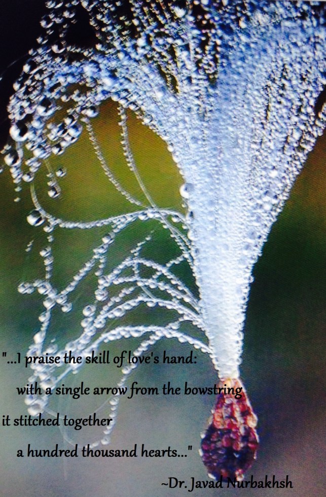 "The Dance of Unity" excerpt from Divan-e Nurbakhsh Poems of a Sufi Master Dr. Javad Nurbakhsh