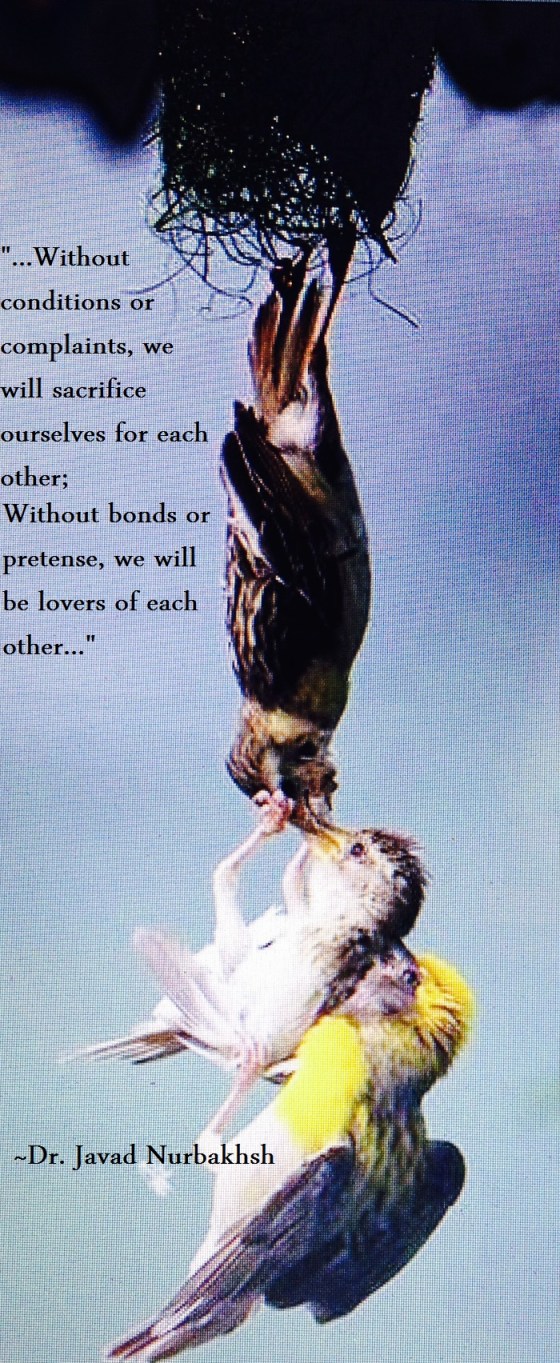 "House of Sincerity and Purity" excerpt from Divan-e Nurbakhsh Poems of a Sufi Master Dr. Javad Nurbakhsh