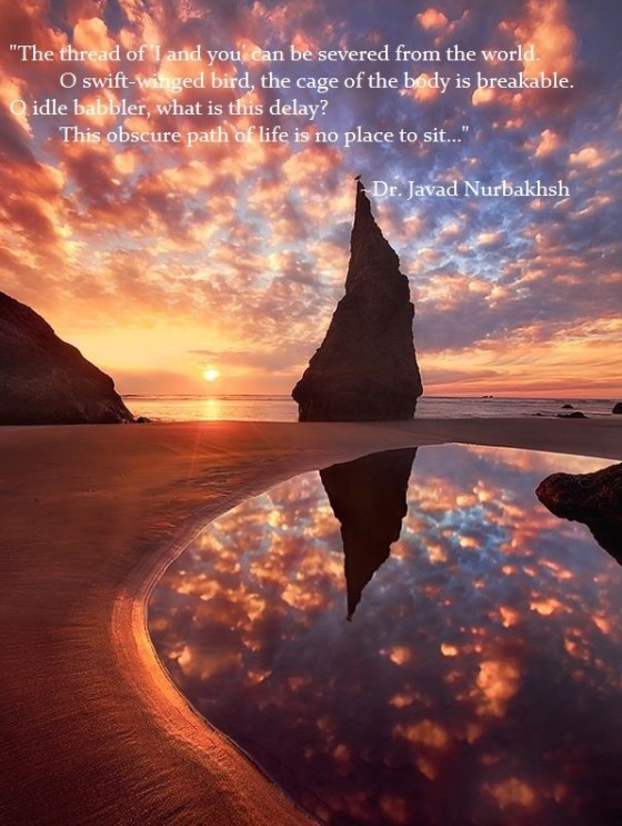 The Obscure Path of Life excerpt from SUFI Magazine Issue 18