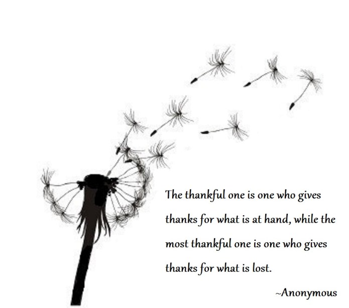 Excerpt from The Crucible of Light Sufi Terms Illuminated Dr. Javad Nurbakhsh 