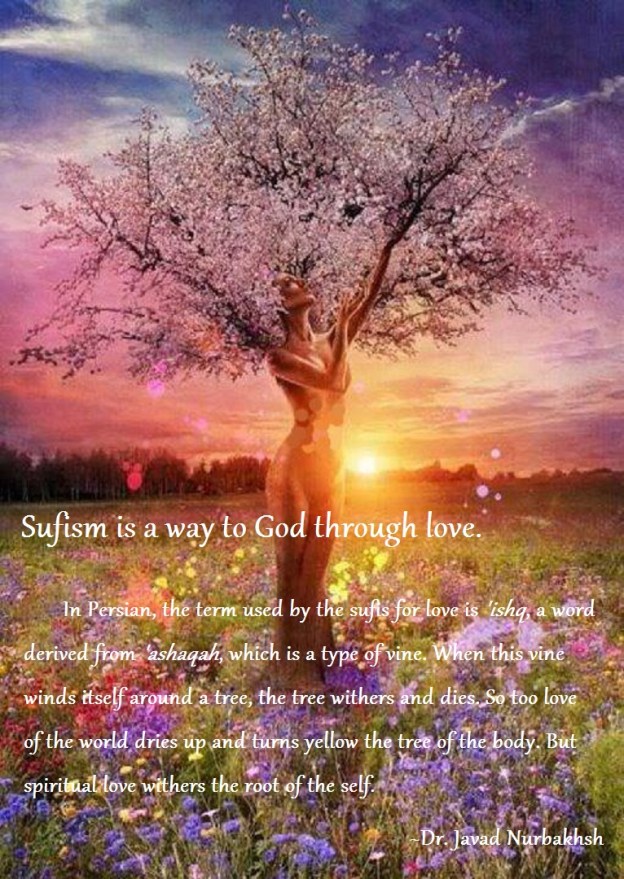 Excerpt from The Path Sufi Practices Dr. Javad Nurbakhsh