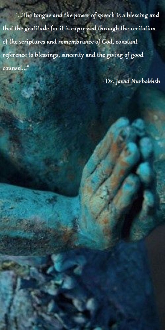 Excerpt from Sufism V by Dr. Javad Nurbakhsh