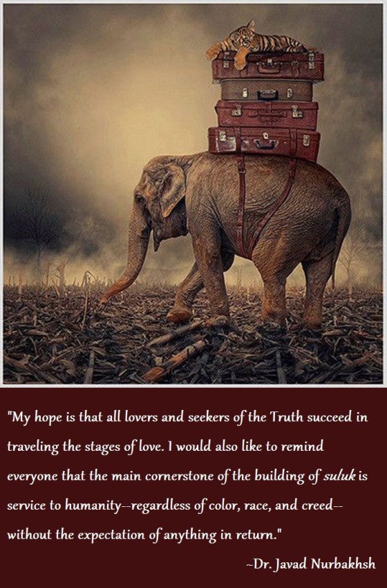 Attraction and Social Conduct on the Path excerpt from SUFI Magazine Issue 23