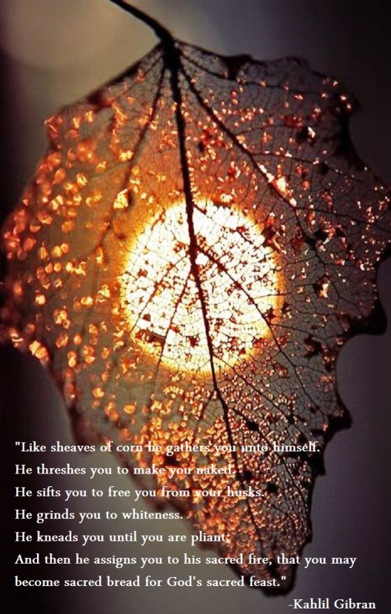 Excerpt from The Prophet Kahlil Gibran