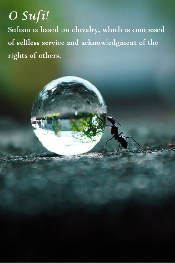 Aphorism 11 excerpt from Discourses on the Sufi Path Dr. Javad Nurbakhsh