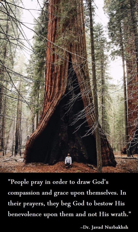 Excerpt from The Path Sufi Practices Dr. Javad Nurbakhsh