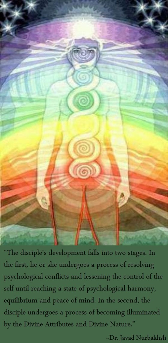 The Course of the Path excerpt from The Path Sufi Practices Dr. Javad Nurbakhsh